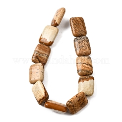 Natürliches Bild Jaspis Perlen Stränge&nbsp;G-S386-A14