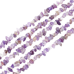 3 Strang natürliche Amethystperlenstränge&nbsp;G-BC0001-27