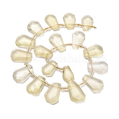 Natürliche Zitronen Jade Perlen Stränge&nbsp;G-H078-A05-01