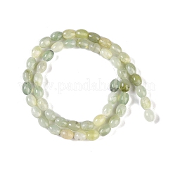 Naturali nuove perle di giada fili&nbsp;G-K362-I02-02