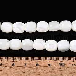 Natürliche Trochidschale / Trochusschalenperlenstränge&nbsp;SSHEL-N040-09