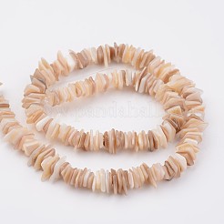 Chapelets de perles en coquillage naturel&nbsp;BSHE-P021-14