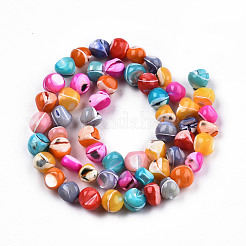 Fili di perle di conchiglia trochid naturale / trochus&nbsp;SSHEL-N032-56
