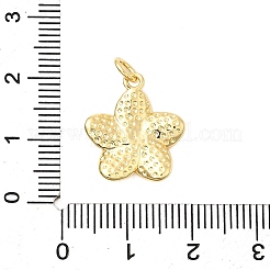 Messing Anhänger & Charms&nbsp;KK-A266-14G