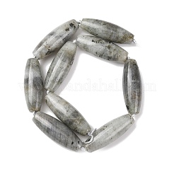 Natur Labradorit Perlen Stränge&nbsp;G-L654-G12-01