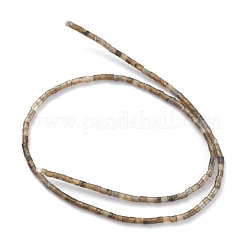 Fili di perline di larvikite naturale&nbsp;G-H255-18