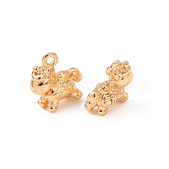 Messing Anhänger & Charms&nbsp;KK-T082-13G
