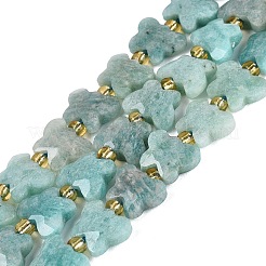 Fili di perline amazonite naturale&nbsp;G-N371-10A-06
