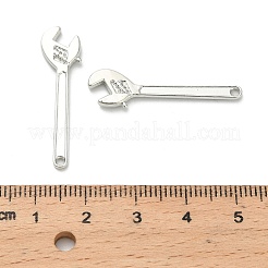 Aluminium Anhänger & Charms&nbsp;LS-FIND-H053-01C-P