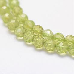 Natürlichen Peridot Perlen Stränge&nbsp;G-F460-52