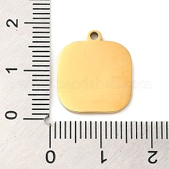Ionenplattierung (IP) 304 Edelstahl Emaille Anhänger&nbsp;X-STAS-Q301-13G
