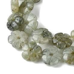 Natur Labradorit Perlen Stränge&nbsp;G-H023-B19-01