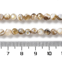 Natürlichen Süßwasser-Muschelperlen Stränge&nbsp;SSHEL-B002-15