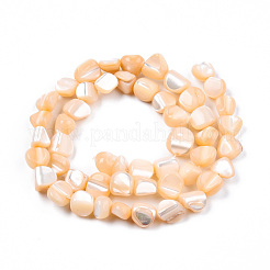 Fili di perle di conchiglia trochid naturale / trochus&nbsp;SSHEL-N032-49-A07