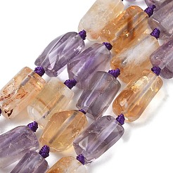 Naturperlen Stränge ametrine&nbsp;G-C270-K20