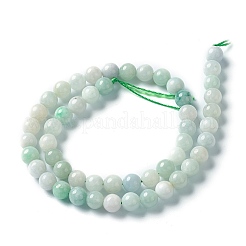 Natürliche jadeite Perlen Stränge&nbsp;G-L568-001B