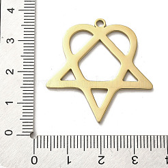Pendentifs en acier inoxydable 304&nbsp;STAS-B054-07G