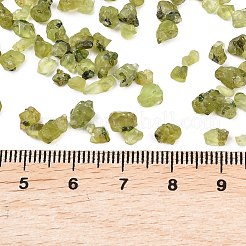 Natürliche Peridot Perlen&nbsp;G-D363-A01