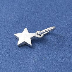 S925 Sterling Silber Anhänger&nbsp;STER-H115-03C-S