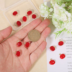 12pcs pendentifs en émail en alliage&nbsp;FIND-CA0009-59