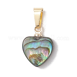 Natur Paua Muschel Anhänger&nbsp;PALLOY-JF05164