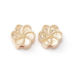 Cremagliera branelli della lega di placcatura&nbsp;FIND-WH0118-01G
