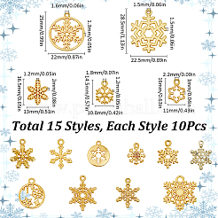 150pcs 15 Arten Legierungsanhänger&nbsp;FIND-SC0012-03