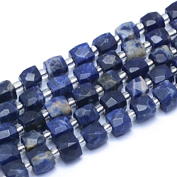 Chapelets de perles en sodalite naturelle, facette, cube, 7.5~9x7.5~9x7.5~9mm, Trou: 0.8mm, Environ 37 pcs/chapelet, 15.35 pouce (39 cm)