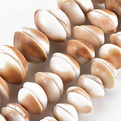 Chapelets de perles de coquillage naturel, demi-rond, burlywood, 8~20x8~20x3~7mm, Trou: 1mm, Environ 28~54 pcs/chapelet, 6.69 pouce ~ 7.09 pouces (17~18 cm)