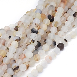 Brins de perles d'agate dendritique naturelle, mat, ronde, 8~8.5mm, Trou: 0.7mm, environ 48 pcs / brin, 15.35 pouce (39 cm)