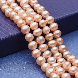 Fili di perle di perle d'acqua dolce coltivate naturali, patata, bisque, 6~7x6~6.5mm, Foro: 0.5 mm, circa 58~59pcs/filo, 13.77~13.97 pollice (35~35.5 cm).