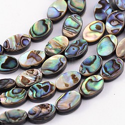 Natürliche Abalone Muschel / Paua Muschel Perlen Stränge, Oval, Farbig, 12x8x3 mm, Bohrung: 0.5 mm
