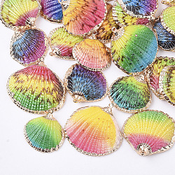 Galvanisieren Shell-Anhänger, mit Messing-Zubehör, gefärbt, Licht Gold, Mischfarbe, 22.5~30.5x22~32x5~9 mm, Bohrung: 1.6 mm