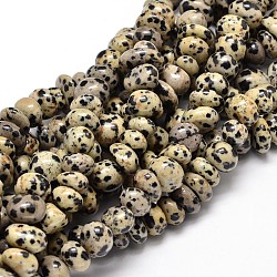 Dalmatien naturelle brins pépites de jaspe de pierres précieuses perles, pierre roulée, 6~10x9~12x8~10mm, Trou: 1mm, environ 15.3 pouce ~ 15.7 pouces