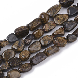 Abalorios naturales bronzite hebras, pepitas, piedra caída, 5~11x5~8x3~6mm, agujero: 0.8 mm, aproximamente: ​​52~56 unidades / cadena, 15.94 pulgada (40.5 cm)