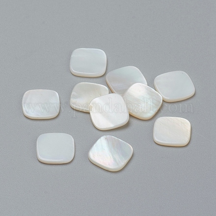 Perles de coquillages naturels d'eau douce BSHE-I011-09-1