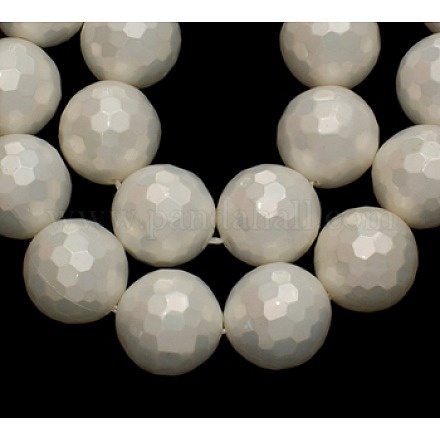 Shell Pearl Beads Strands SP034-12mm-1
