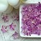 Handmade Lampwork Beads, Starfish, Violet, 14mm