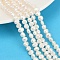 Natural Cultured Freshwater Pearl Beads Strands, Two Sides Polished, Grade 3A, Seashell Color, 4~5mm, Hole: 0.7mm, about 70~71pcs/strand, 33~33.3cm
