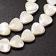 Fili di perle di conchiglia trochid naturale / trochus SSHEL-K012-05-3