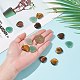 SUPERFINDINGS 20Pcs 2 Style Natural Mixed Cabochons G-FH0001-21-3