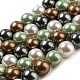 Fili di perle di conchiglia lucidate BSHE-F013-07D-2