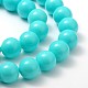 Polished Shell Pearl Round Beads Strands SP12MM245-2