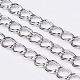 Catene a doppia maglia di ferro&nbsp;LS-CHD001Y-N-1