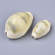 Natural Cowrie Shell Beads SSHEL-N034-B-26-2
