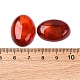 Natürlichen Karneol cabochons&nbsp;G-D860-A22-4