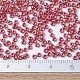 MIYUKI Round Rocailles Beads SEED-JP0008-RR0425-4