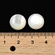 Cabochons de coquillage blanc naturel SSHEL-M022-01D-3