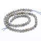 Natural Labradorite Beads Strands G-P336-19-6mm-2