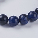 Chapelets de perles en sodalite naturelle G-G515-10mm-07-3